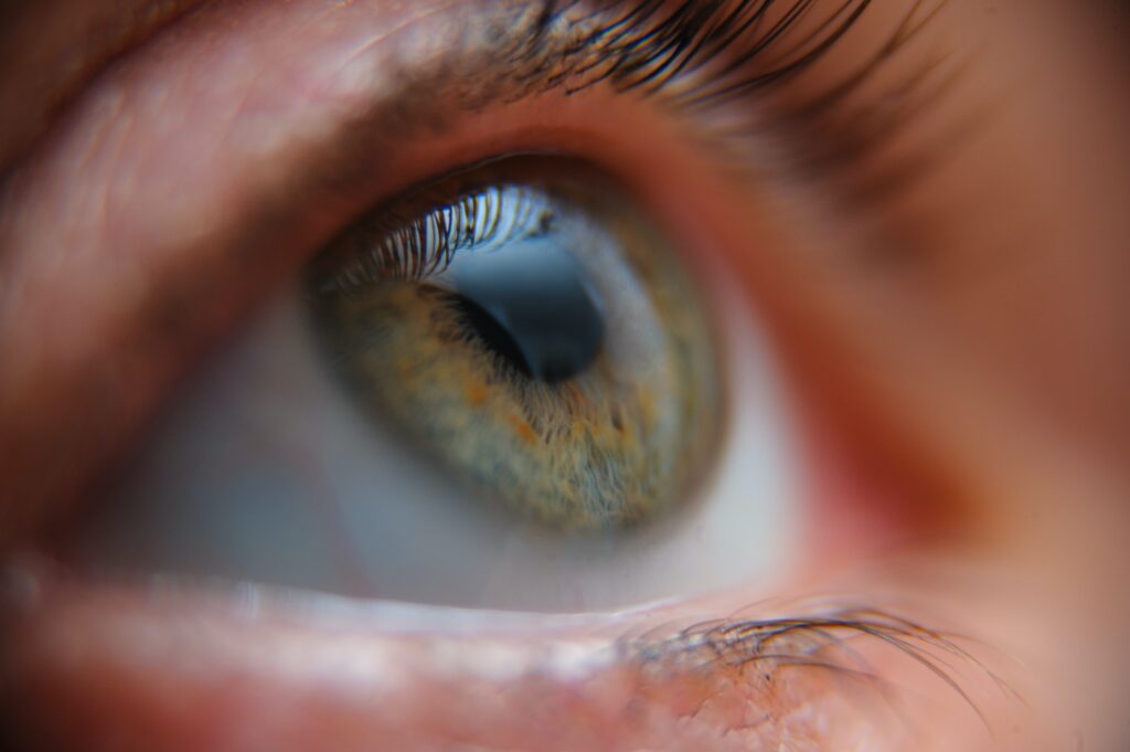 Closeup of a person's beautiful green eye